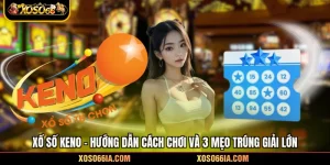 Xổ Số Keno - Hướng Dẫn Cách Chơi Và 3 Mẹo Trúng Giải Lớn